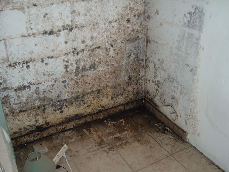 Humidité en sous-sol