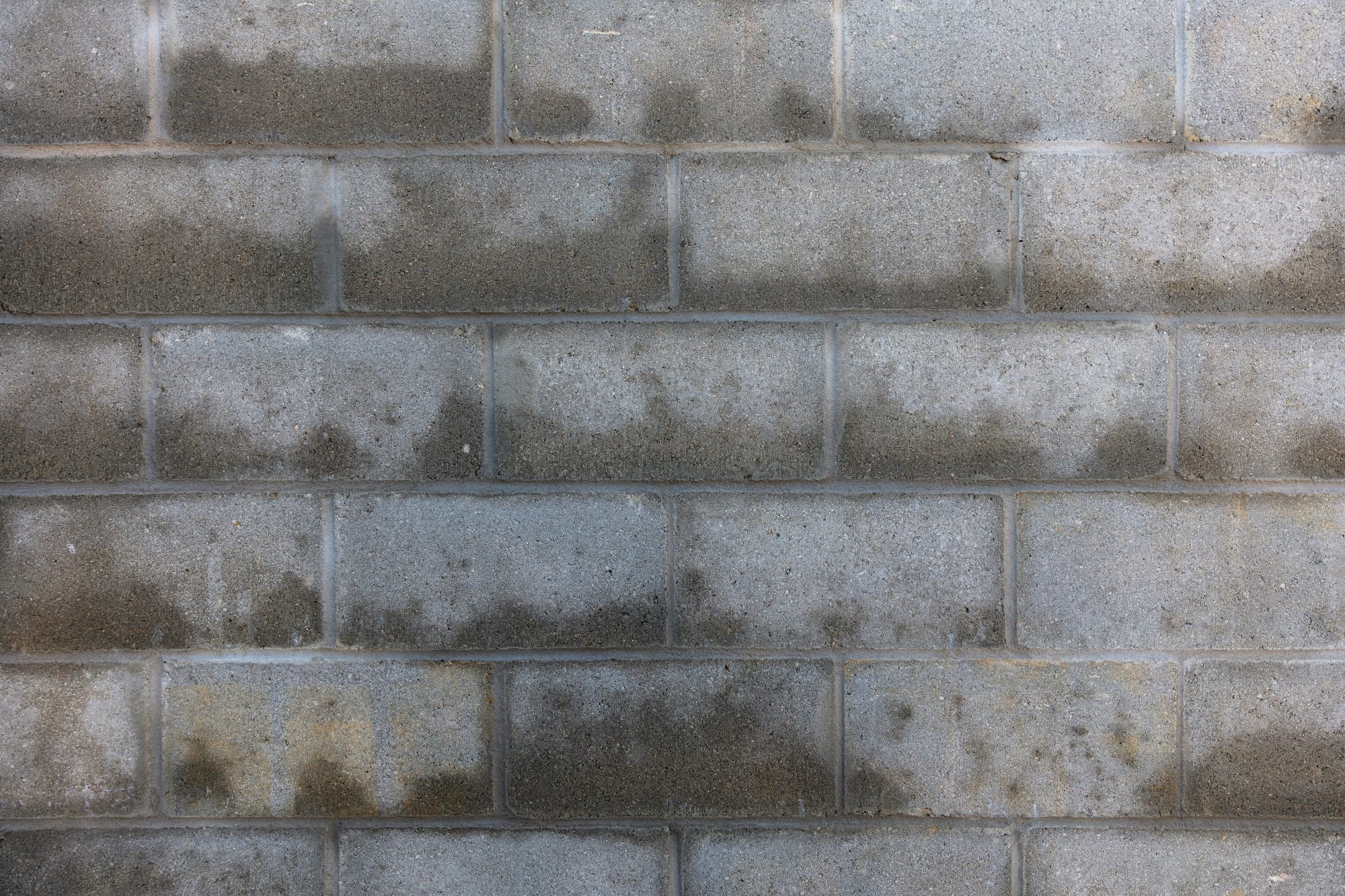 Humidité sur les murs