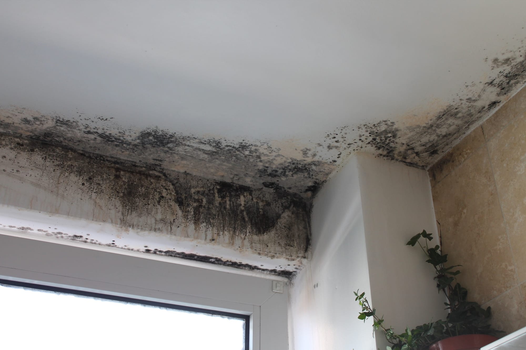 Humidité sur les plafonds