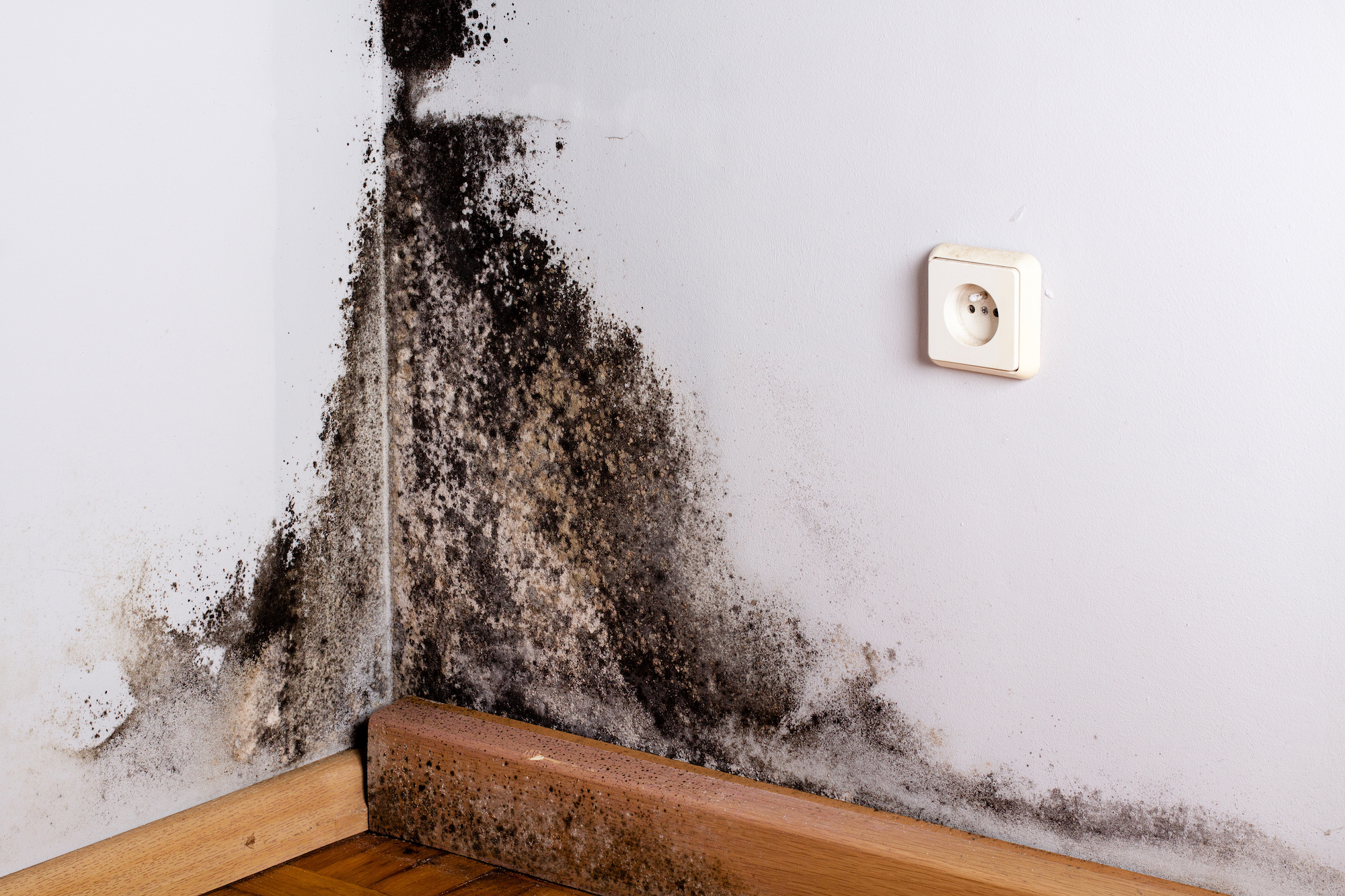 Electrical hazards / black spots / mold growth