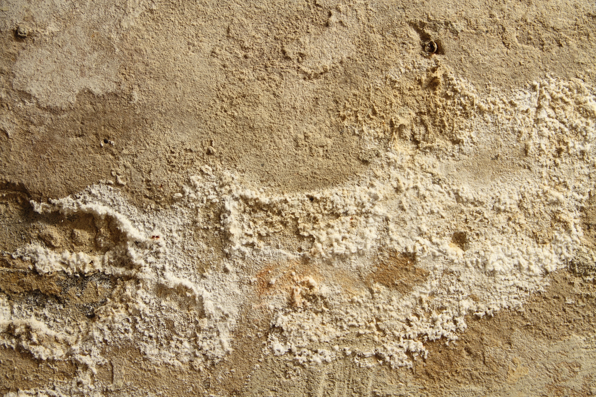 Appearance of traces of saltpetre and/or mould