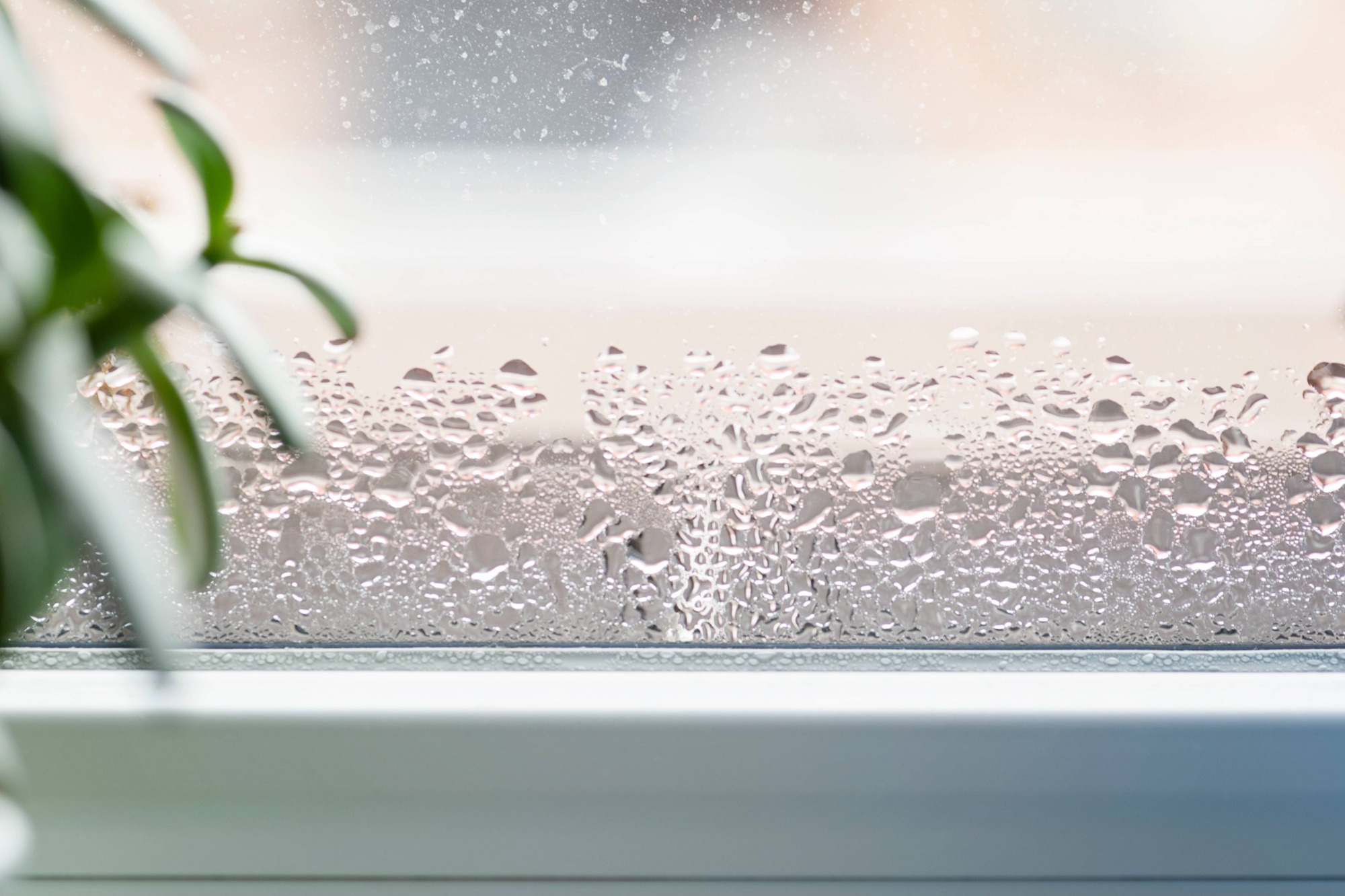 Le problème de buée et de condensation